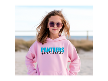 Load image into Gallery viewer, Panthers Knockout Youth Hoodie(NFL)
