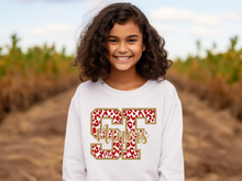 Load image into Gallery viewer, SF 49ers Youth Sweatshirt(NFL)