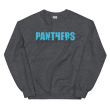 Load image into Gallery viewer, Panthers Knockout Sweatshirt(NFL)