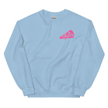 Load image into Gallery viewer, Cheer Squad Sweatshirt