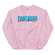 Load image into Gallery viewer, Panthers Knockout Sweatshirt(NFL)