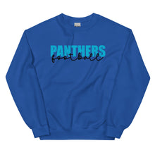 Load image into Gallery viewer, Panthers Knockout Sweatshirt(NFL)