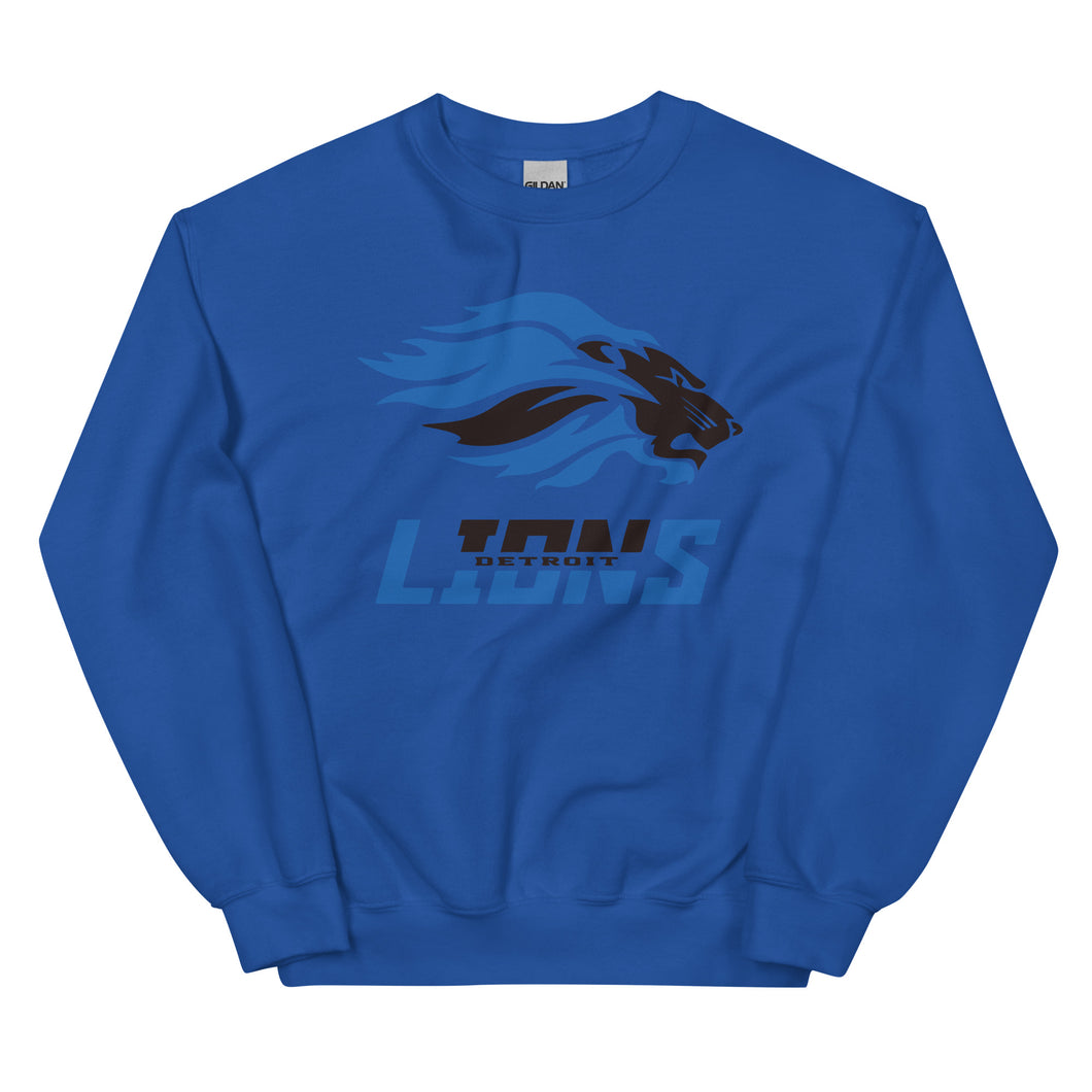 Lions Football Sweatshirt(NFL)