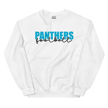 Load image into Gallery viewer, Panthers Knockout Sweatshirt(NFL)