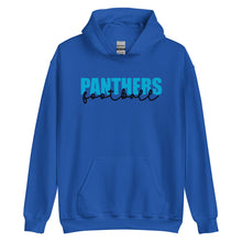 Load image into Gallery viewer, Panthers Knockout Hoodie(NFL)