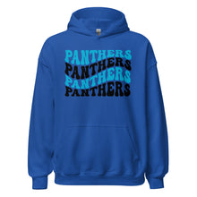 Load image into Gallery viewer, Panthers Wave Hoodie(NFL)