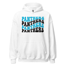 Load image into Gallery viewer, Panthers Wave Hoodie(NFL)