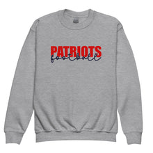 Load image into Gallery viewer, Patriots Knockout Youth Sweatshirt(NFL)