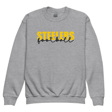 Load image into Gallery viewer, Steelers Knockout Youth Sweatshirt(NFL)