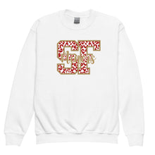 Load image into Gallery viewer, SF 49ers Youth Sweatshirt(NFL)