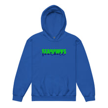 Load image into Gallery viewer, Seahawks Knockout Youth Hoodie(NFL)