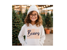 Load image into Gallery viewer, Bears Stack Youth Hoodie(NFL)
