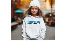 Load image into Gallery viewer, Dolphins Knockout Youth Hoodie(NFL)
