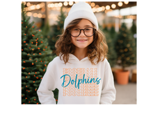 Load image into Gallery viewer, Dolphins Stack Youth Hoodie(NFL)
