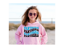 Load image into Gallery viewer, Panthers Wave Youth Hoodie(NFL)
