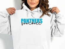 Load image into Gallery viewer, Panthers Knockout Hoodie(NFL)
