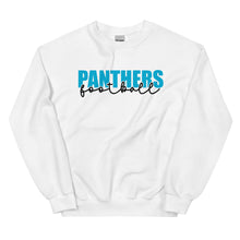 Load image into Gallery viewer, Panthers Knockout Sweatshirt(NFL)
