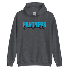 Load image into Gallery viewer, Panthers Knockout Hoodie(NFL)
