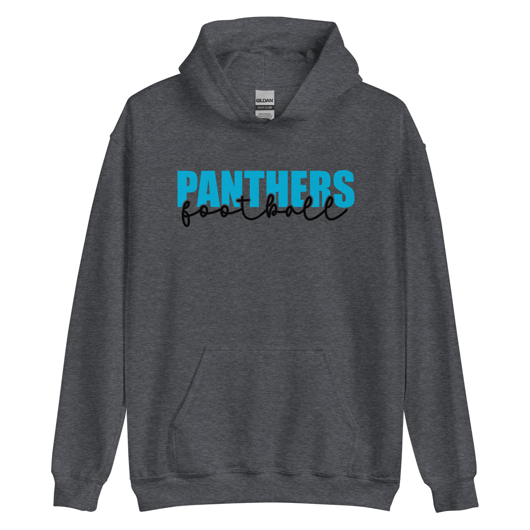 Panthers Knockout Hoodie(NFL)