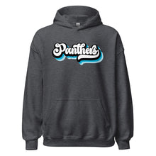 Load image into Gallery viewer, Panthers Retro Hoodie(NFL)
