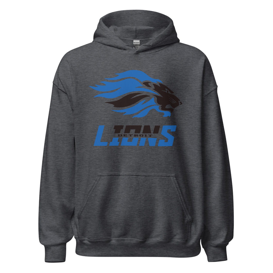 Lions Football Hoodie(NFL)