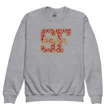 Load image into Gallery viewer, SF 49ers Youth Sweatshirt(NFL)
