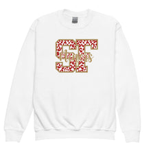 Load image into Gallery viewer, SF 49ers Youth Sweatshirt(NFL)
