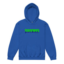 Load image into Gallery viewer, Seahawks Knockout Youth Hoodie(NFL)
